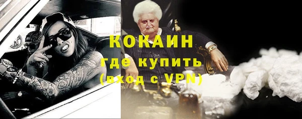 тгк Бородино