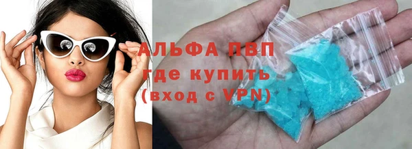 индика Бронницы