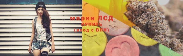 тгк Бородино