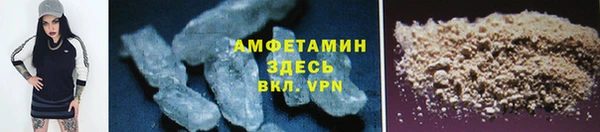 индика Бронницы