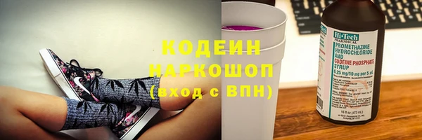 индика Бронницы
