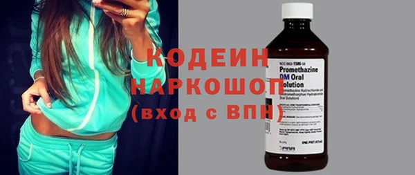 индика Бронницы