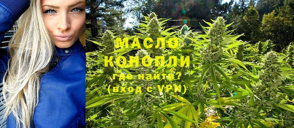тгк Бородино