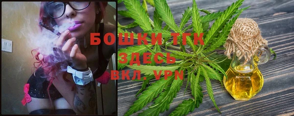 индика Бронницы