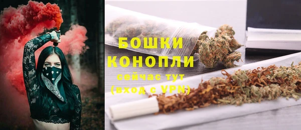 индика Бронницы